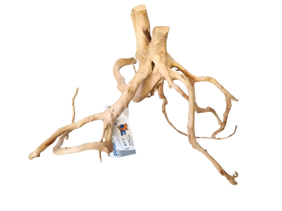 SuperFish Rote Moorwurzel - Spiderwood 3 SuperFish Rote Moorwurzel - Spiderwood - Image 3