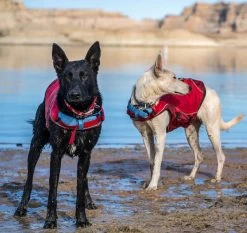 Kurgo Life Jacket Surf N Turf Rot -Haustierprodukte surf n turf 2