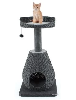 Swisspet Katzenlounge Rahel