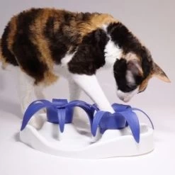 Futternapf Thin Kat Für Katzen