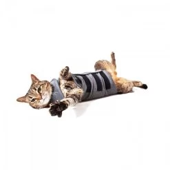 Diverse Thunder Shirt Grau Für Katzen -Haustierprodukte thundershirt katze liegend