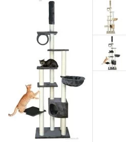 Trixie Kratzbaum Madrid