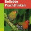 Ulmer Beliebte Prachtfinken - Horst Bielfeld