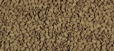 Versele-Laga NutriBird P15 Tropical 1 Kg 2 Versele-Laga NutriBird P15 Tropical 1 Kg - Image 2