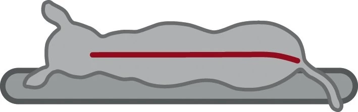 Trixie Sofa Vital Bendson 3 Trixie Sofa Vital Bendson - Image 3