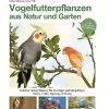 Vogelfutterpflanzen Aus Natur Und Garten