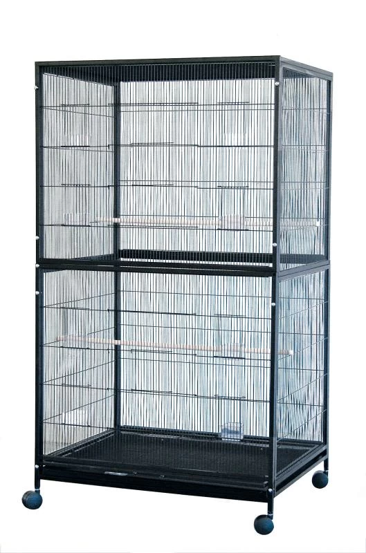 Flugvoliere Santiago Schwarz 1 Flugvoliere Santiago Schwarz