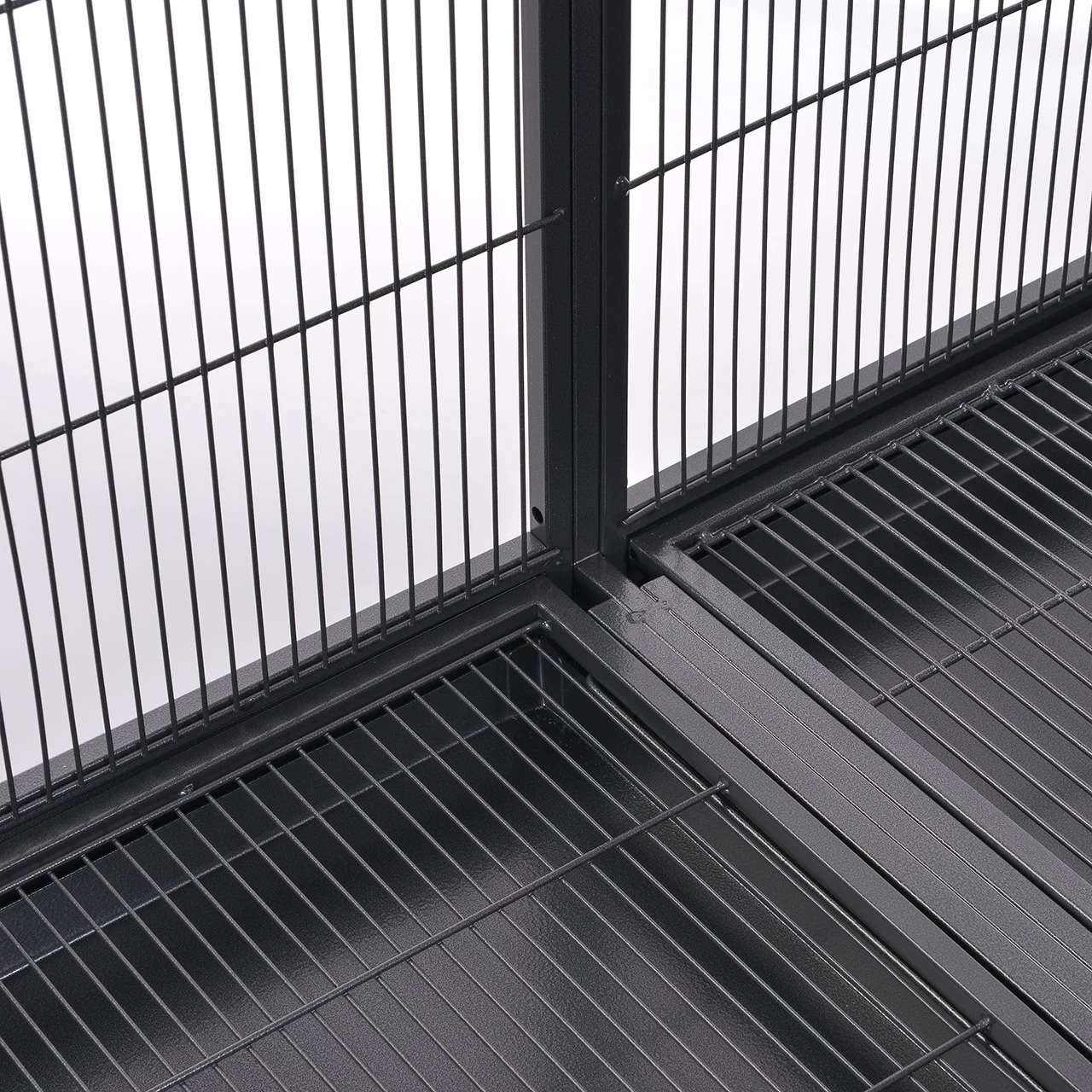 Voliere Sydney I 8 Voliere Sydney I - Image 8