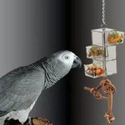 Futterspender Für Papageien