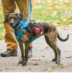 Kurgo RSG Wasserflasche -Haustierprodukte wasserflasche 3