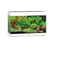 Juwel Aquarium RIO 125 -Haustierprodukte weiss aquarium 1