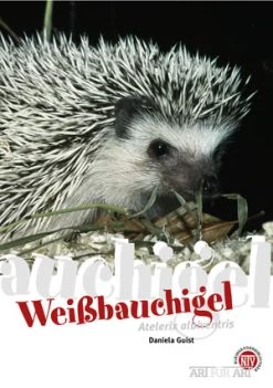 NTV - Weissbauchigel