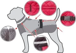 TiBu Hundemantel -Haustierprodukte wintermantel skizze