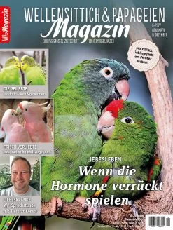 Diverse WP Magazin Juli/August 2023