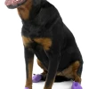 Pawz Pfotenschutzschuhe L