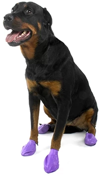 Pawz Pfotenschutzschuhe L